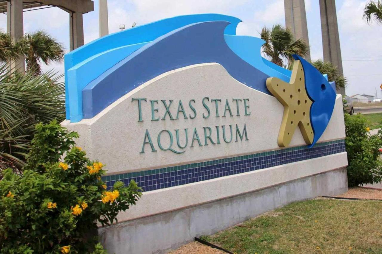 Corpus Christi Condo With Pool Access, Walk To Beach Exteriér fotografie